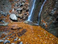 Felsblöcke am blättergefüllten Becken